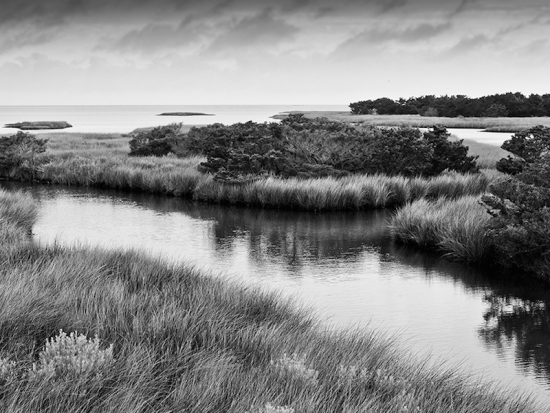 "Salt Marsh, Ocracoke Island" photograph by Alex Pohl